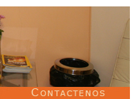 Contactenos