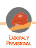 Laboral y Previsional