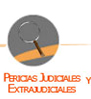 Pericias Judiciales y Extrajudiciales