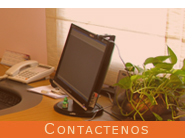Contactenos