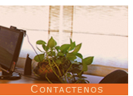 Contactenos